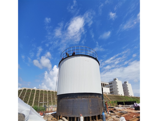 厌氧流化床反应器 化工高浓度有机废水处理设备