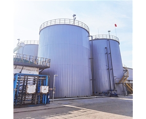 IC厌氧反应器